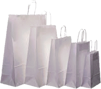 Five sizes of white kraft paper bags with twisted paper handles